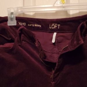 Ladies pants